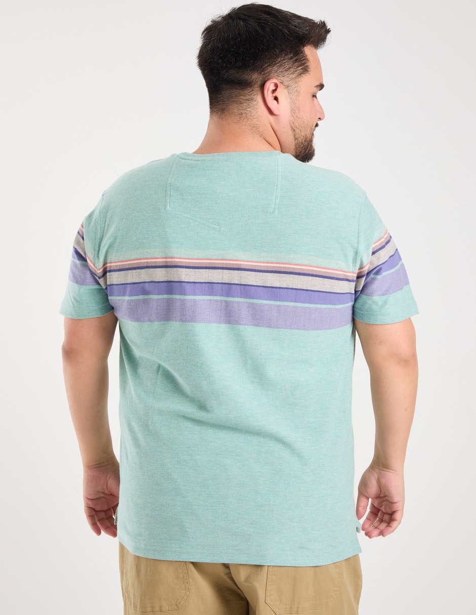 Playera cuello redondo para hombre