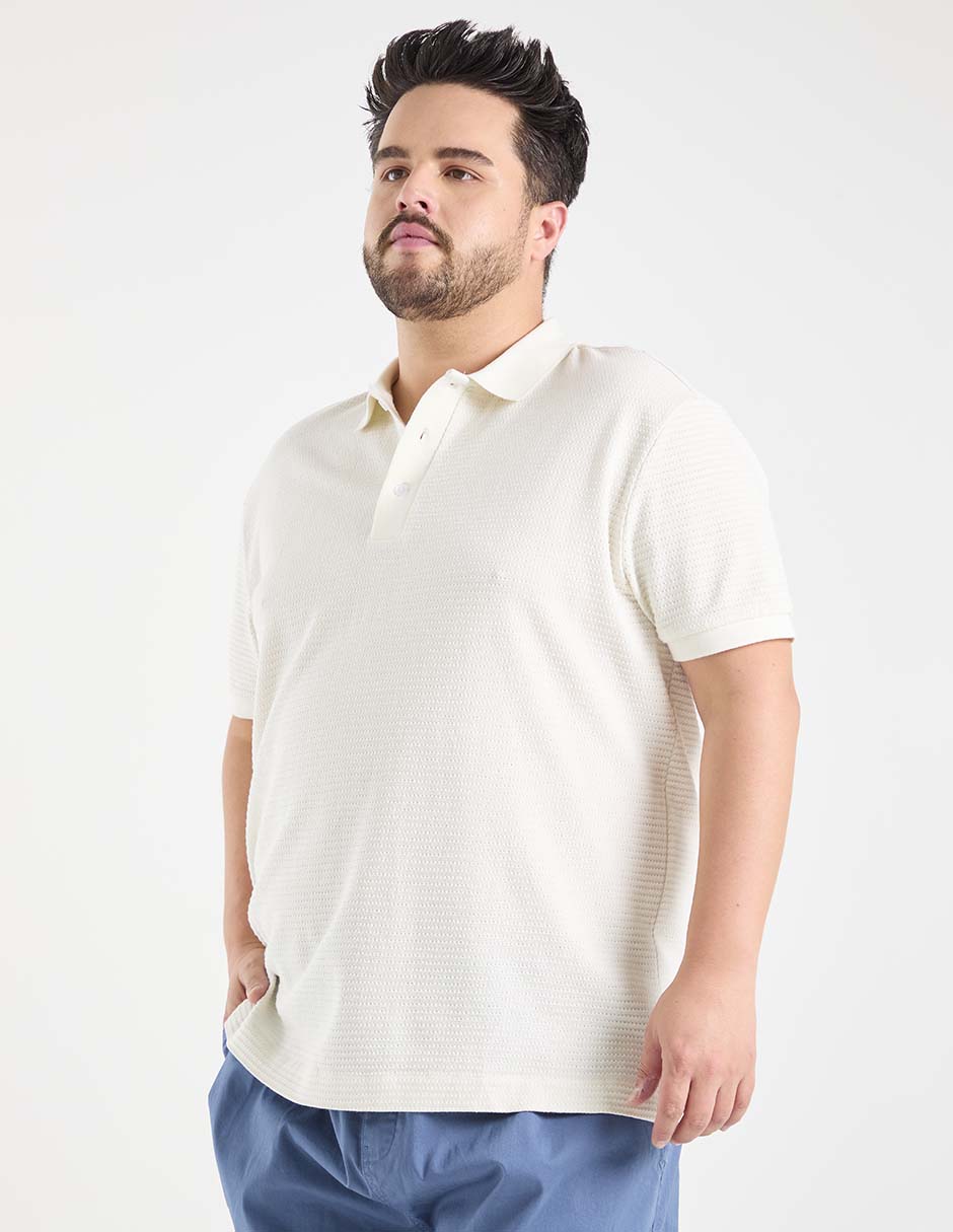 Playera tipo polo para hombre 2